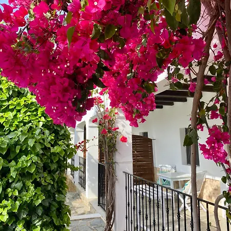 Buenavista Boutique מלון 3*
