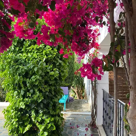 Buenavista Boutique
